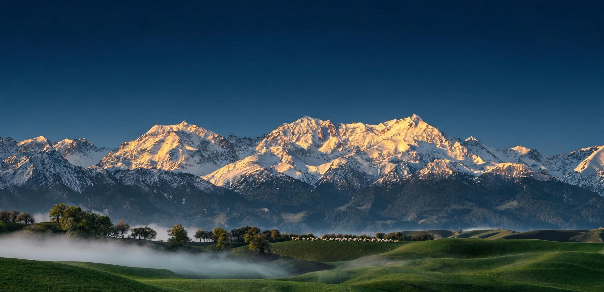 Snow mountains and grassland — EVERCREST premium origins